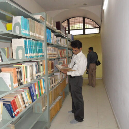 Library (3)
