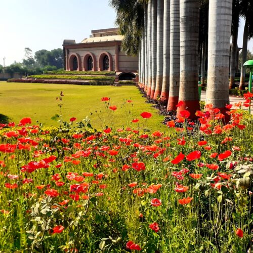 MemorialLandscape (8)